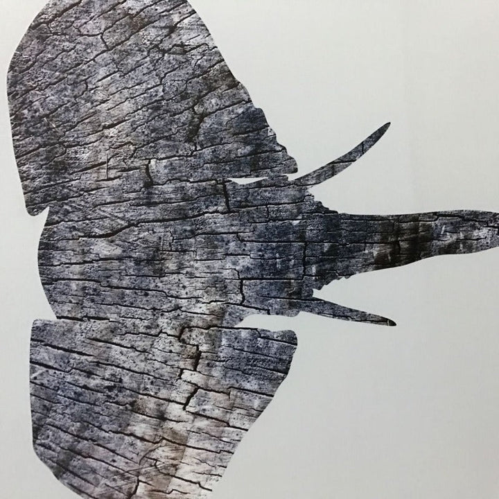 Moods Of Elephants - Lerret Veggkunst Maleri