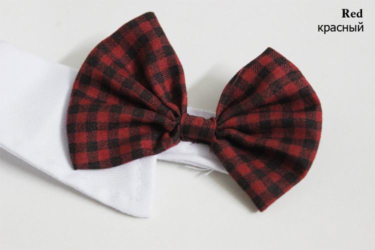 Dapper Pet Slips - For Katter & Hunder | Skanto