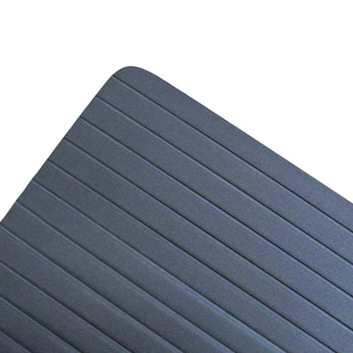 Rapid Food Defrosting Tray | Skanto