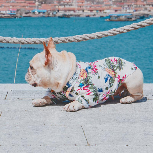 Frenchie Sommer Skjorte | Skanto