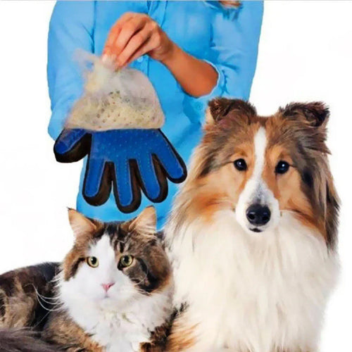 Pet Grooming Glove – FurEase Skanto