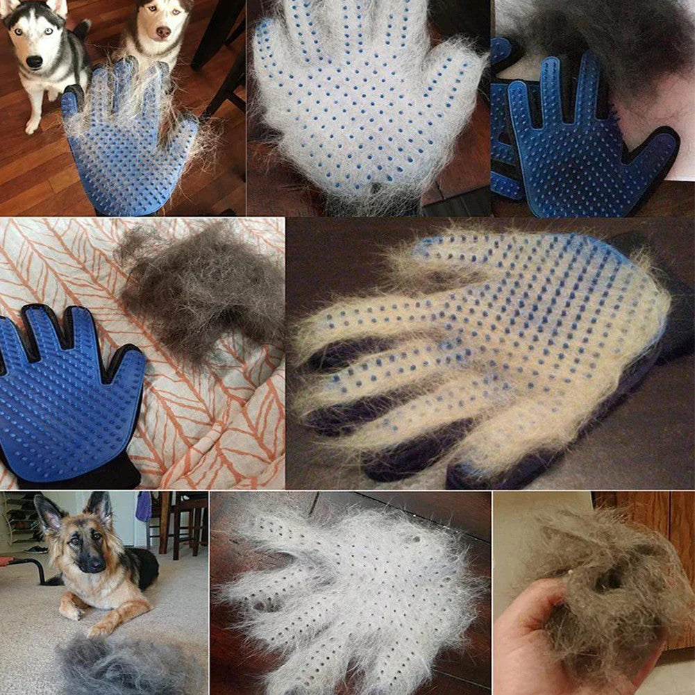 Pet Grooming Glove – FurEase Skanto