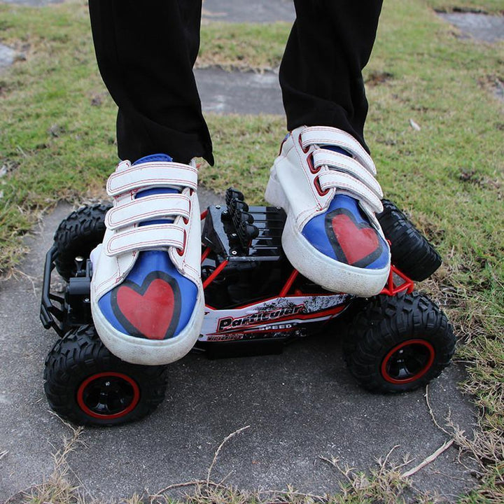 Skanto | Nr.1 Selgende 4X4 RC Rock Crawler 4WD Dobbelt Motor Off-Road Bil