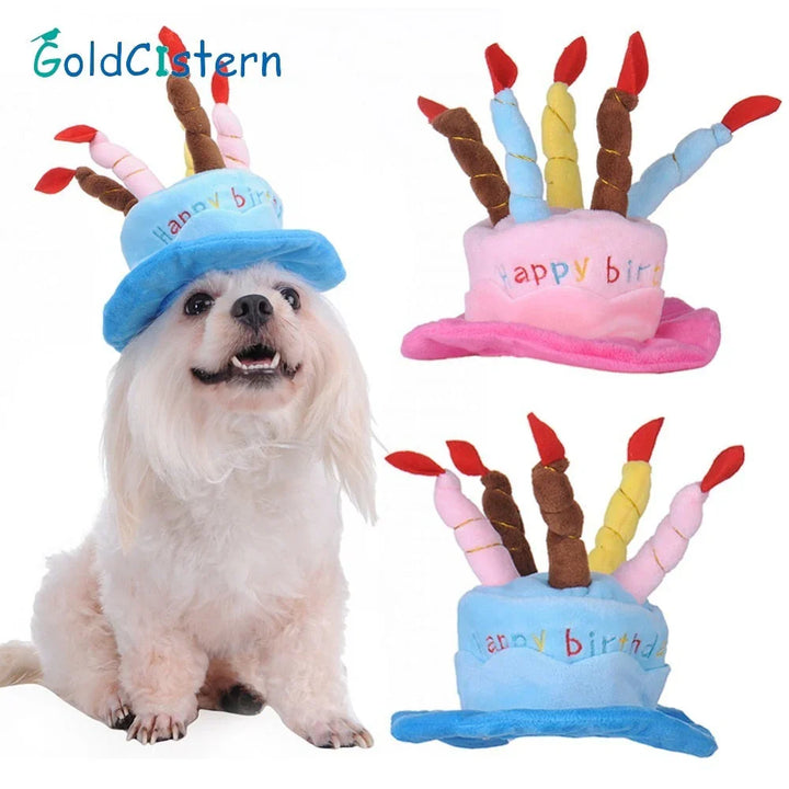 Pet Birthday Hat – PartyPaws Skanto