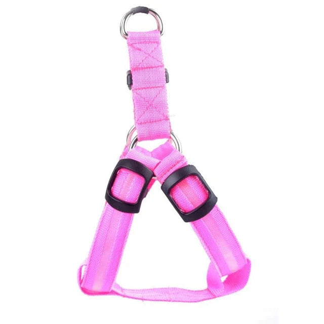 GlowSafe LED Hundesele Skanto