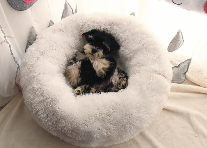 Mini - Rund P fluffy Plush Kattested | Skanto