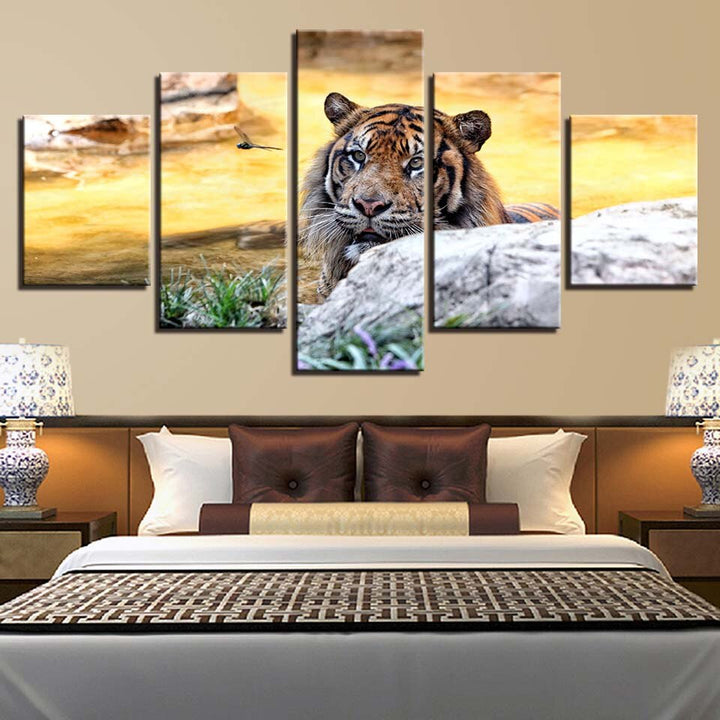Solnedgang, Tiger – Lerretsbilde