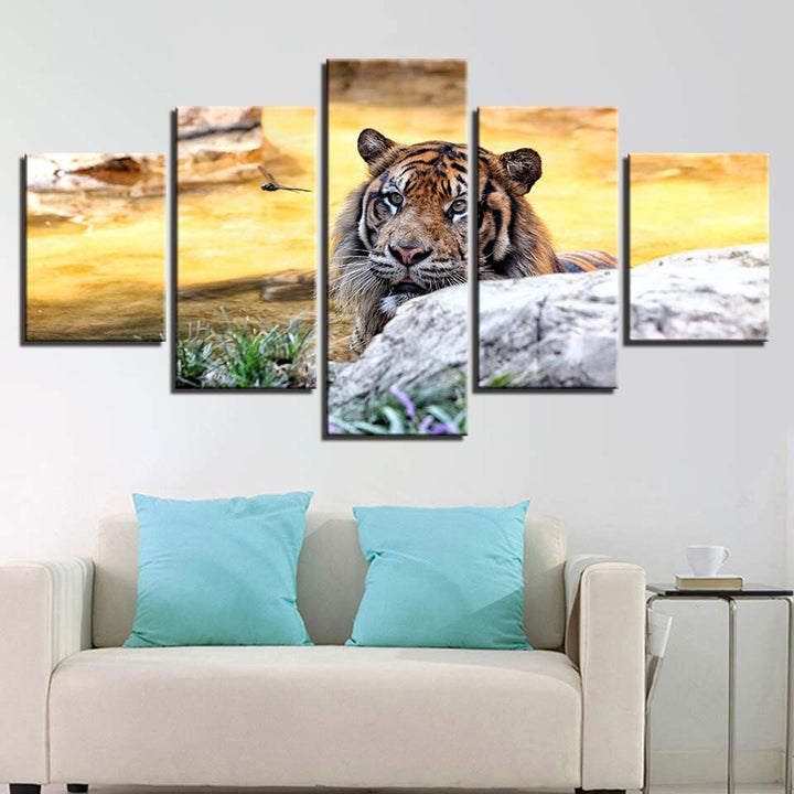 Solnedgang, Tiger – Lerretsbilde