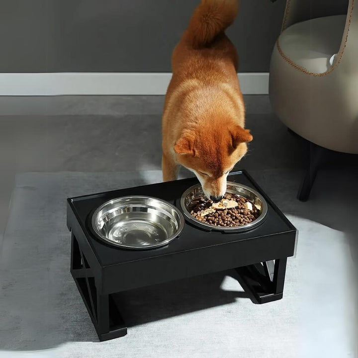 PupLift Hevet Hundeforsyning – Ergonomisk & Sakte Spising for Sunne Måltider | Skanto