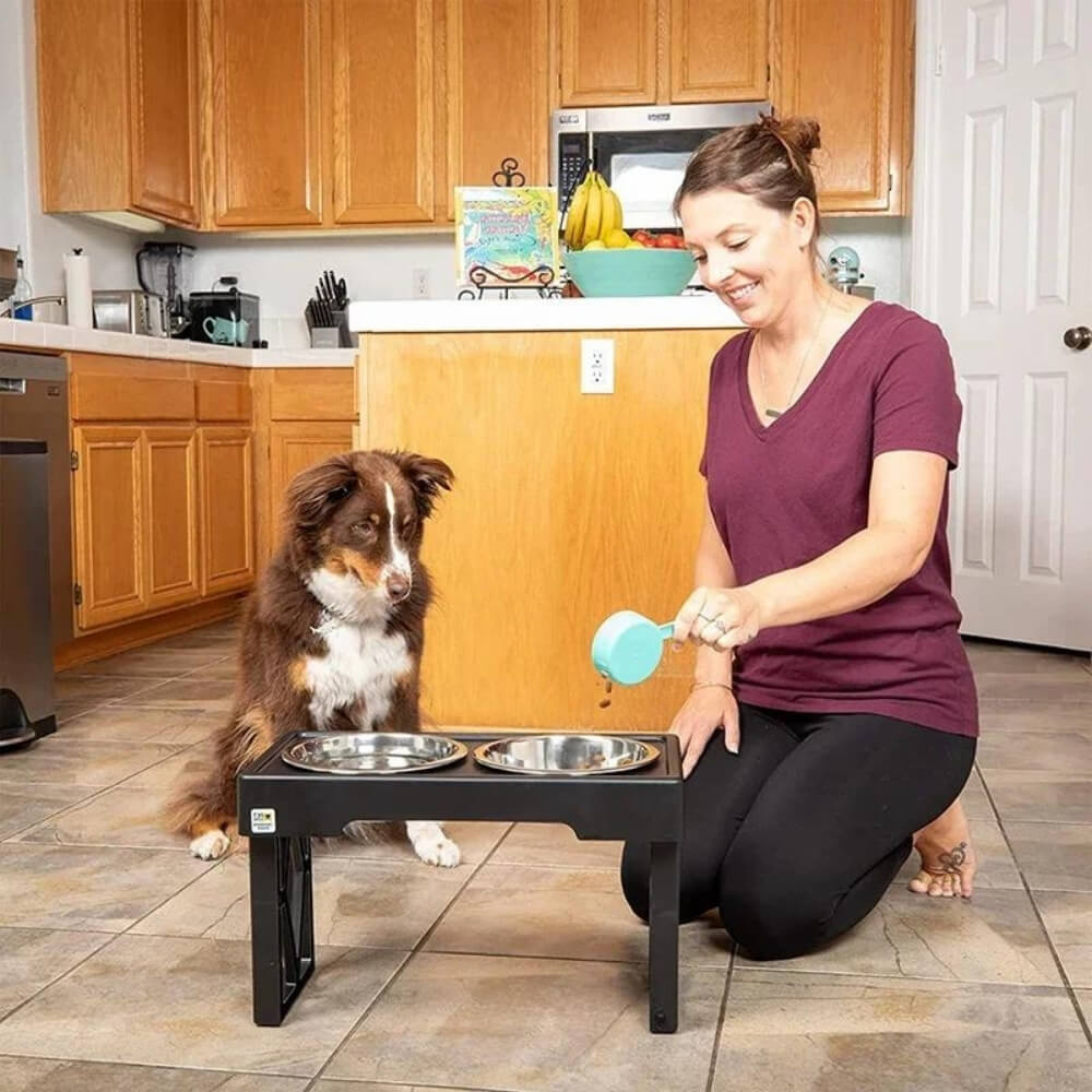PupLift Hevet Hundeforsyning – Ergonomisk & Sakte Spising for Sunne Måltider | Skanto