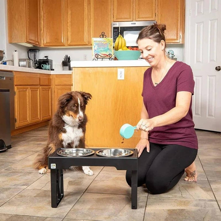 PupLift Hevet Hundeskål – Ergonomisk & Langsom Fôring for Sunne Måltider | Skanto