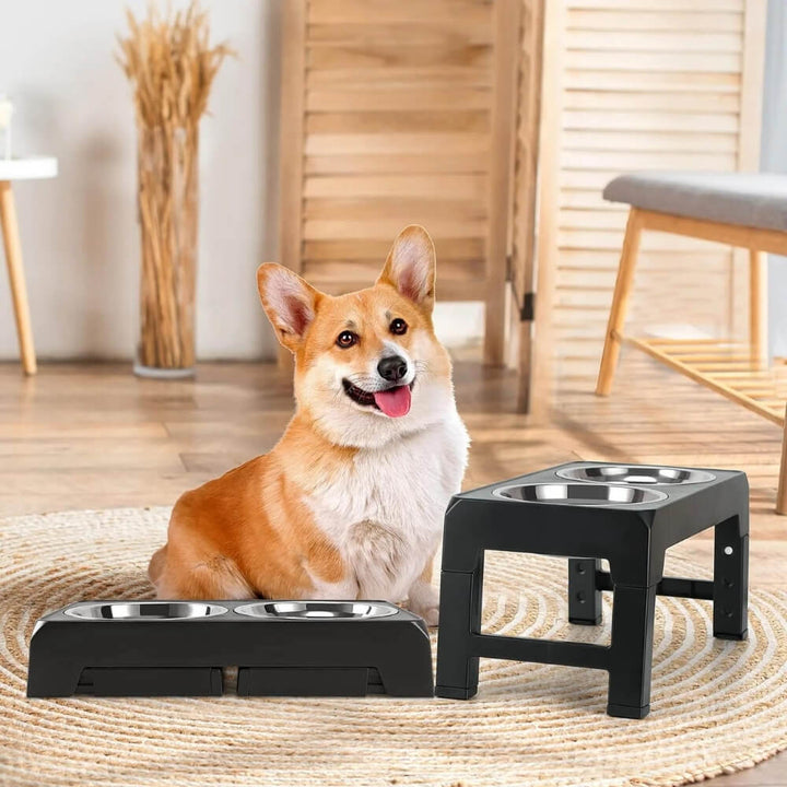 PupLift Hevet Hundeforsyning – Ergonomisk & Sakte Spising for Sunne Måltider | Skanto