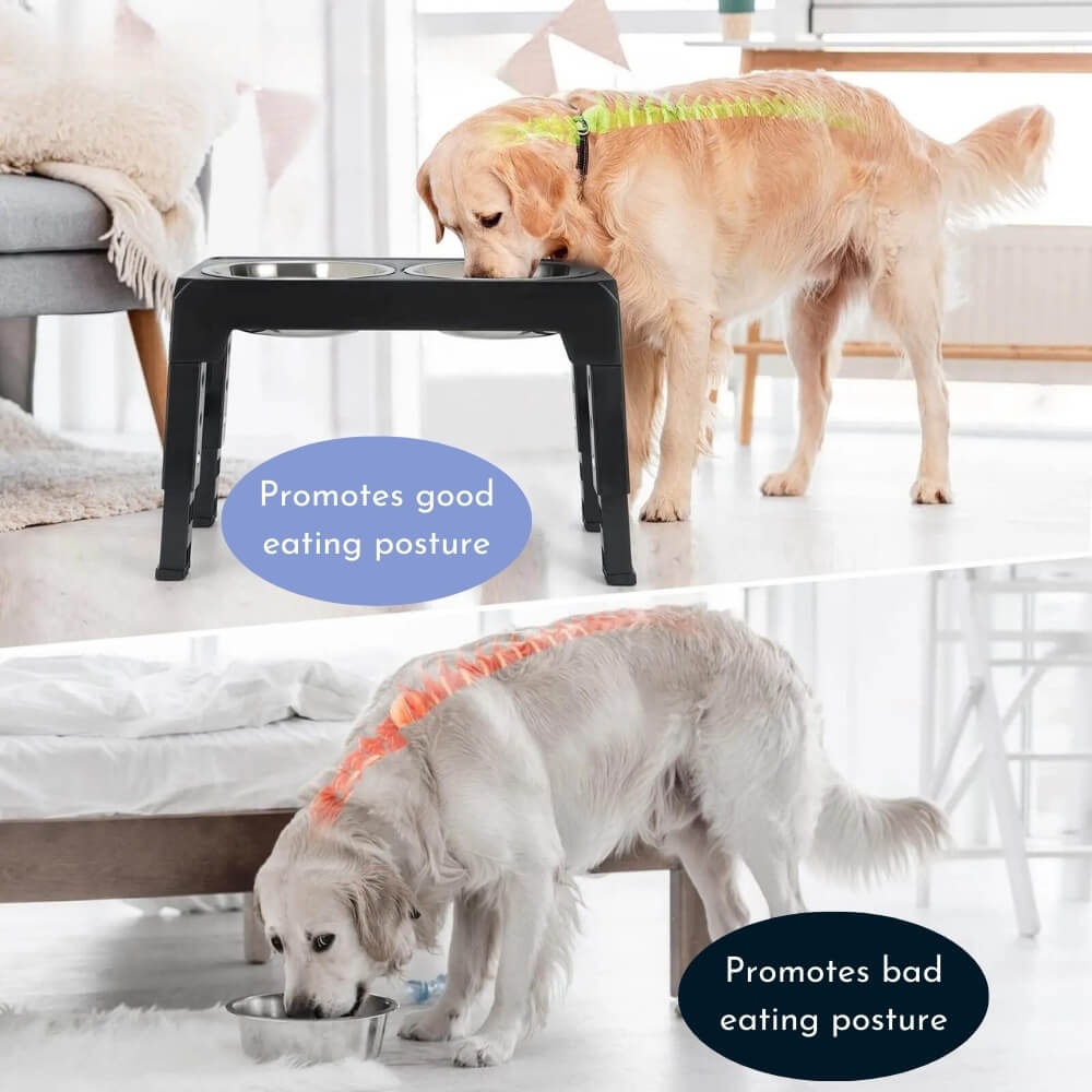 PupLift Hevet Hundeforsyning – Ergonomisk & Sakte Spising for Sunne Måltider | Skanto