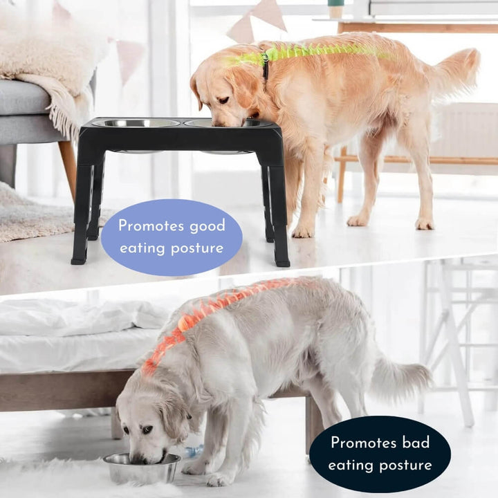 PupLift Hevet Hundeskål – Ergonomisk & Langsom Fôring for Sunne Måltider | Skanto