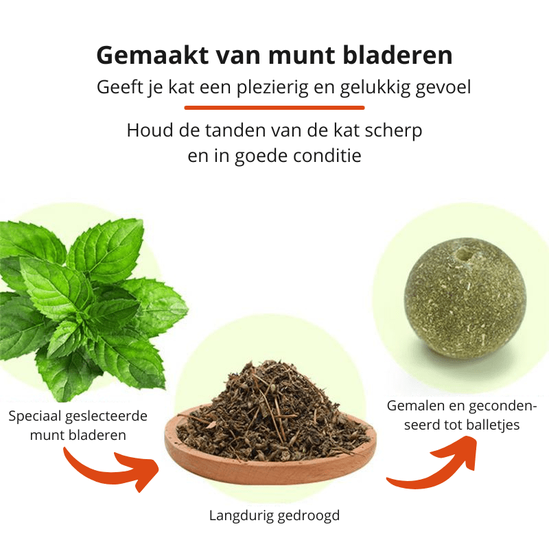Skanto | PURRFECTCATNIP – Veggmonterbart roterende leketøy med naturlig mynte for tannhelse og lek
