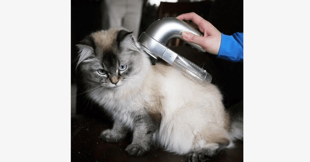 Skanto | Pet Vacuum Groomer