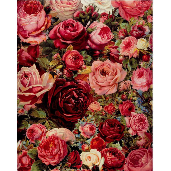 Rose Universe - Van-Go Mal-Em-Nummer Kit | Skanto
