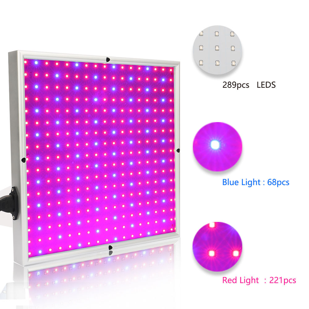 Skanto | Grow Light Lampe