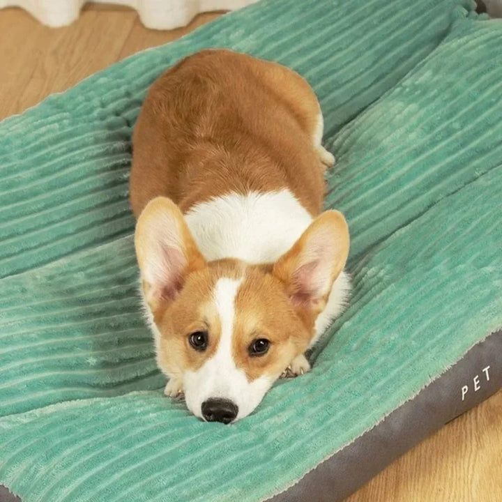 Skanto | DreamRest Orthopedisk Hundeseng – Fluffy, Støttende & Vaskbar Komfort