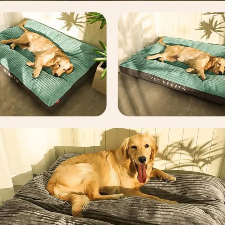 Skanto | DreamRest Orthopedisk Hundeseng – Fluffy, Støttende & Vaskbar Komfort