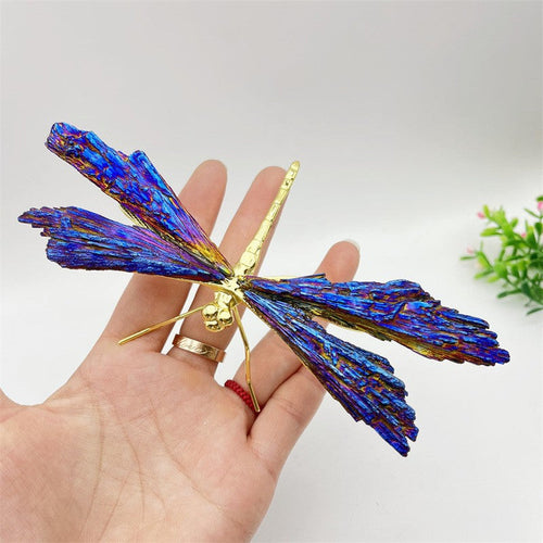AURA TOURMALINE KYANITE DRAGEFLY | Skanto