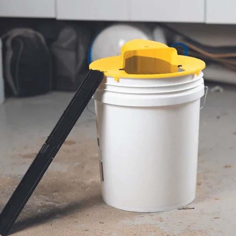 Musfelle Multi-Fangst med Automatisk Vippe Mekanisme | Skanto
