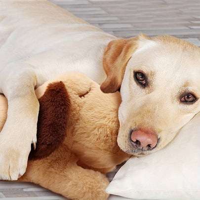 Skanto | Snuggle Puppy - Angsts- og ensomhetsdempende kosedyr