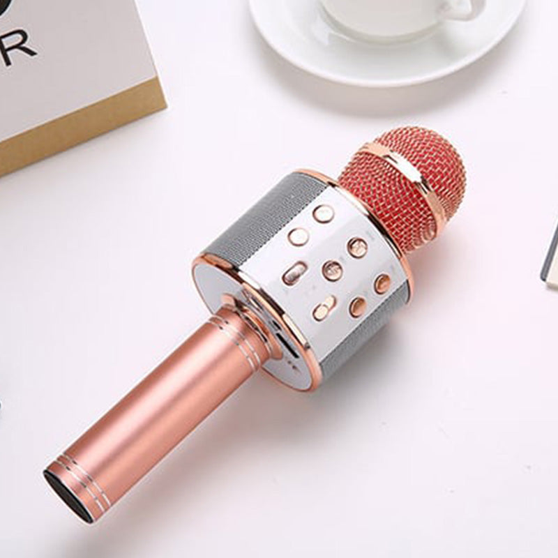 Trådløs karaoke-mikrofon med Bluetooth | Skanto