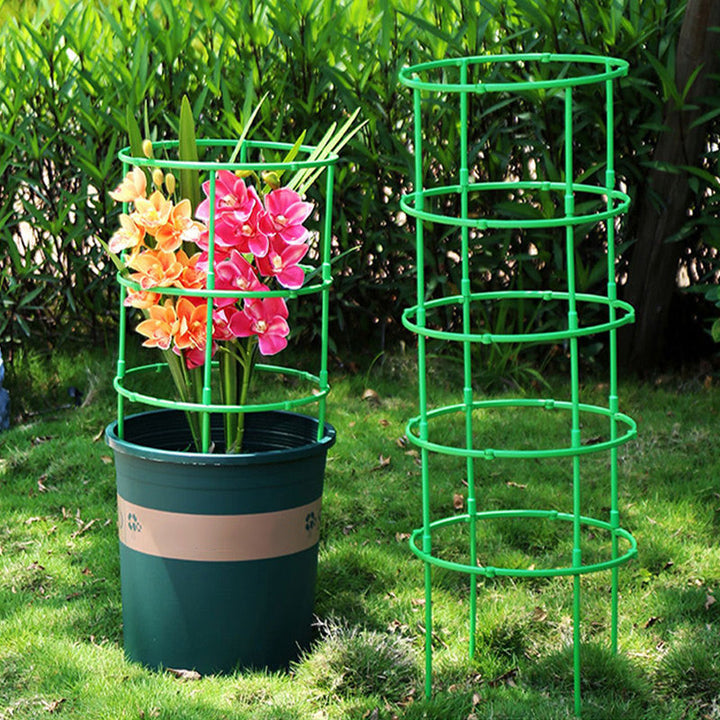 Skanto | Avtagbar plante støtte for blomster og frukt