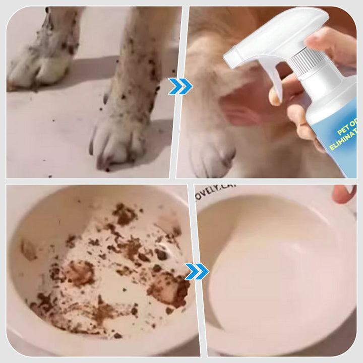 Skanto | 🐱🐶Spray for fjerning av kjæledyrlukt🍃