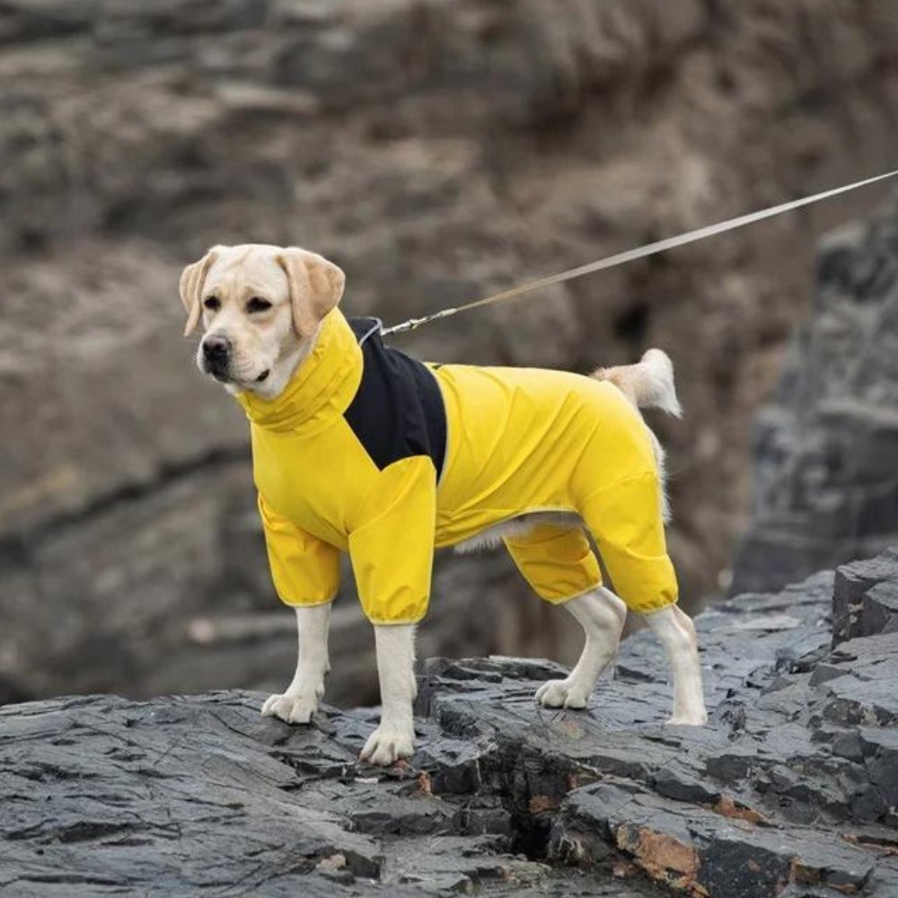 StormGuard • Vanntett regnjakke til hund