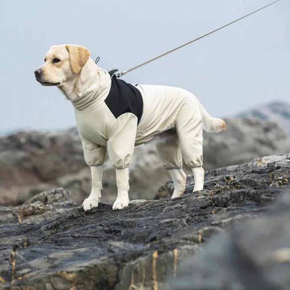 StormGuard • Vanntett regnjakke til hund