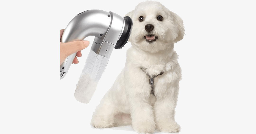 Skanto | Pet Vacuum Groomer