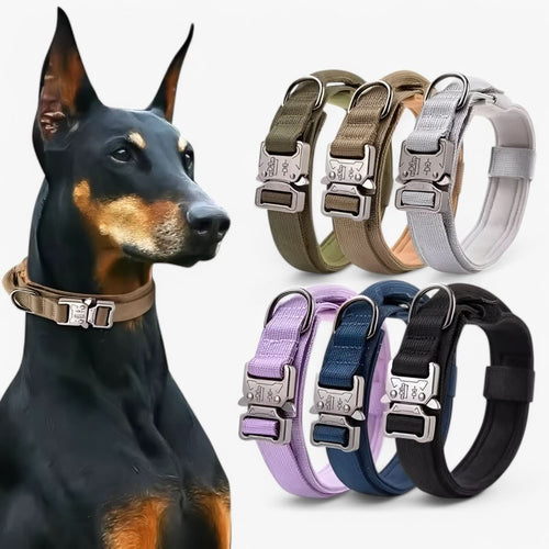Skanto | Justerbar Hundehalsbåndsett for Eventyr og Daglig Trening