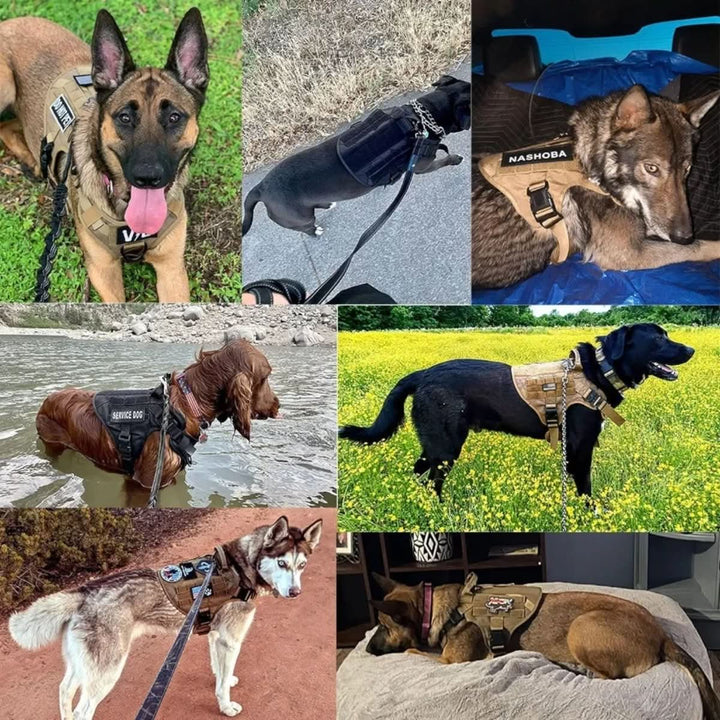 Skanto | Justerbart Hundesele for Sikker og Komfortabel Trening