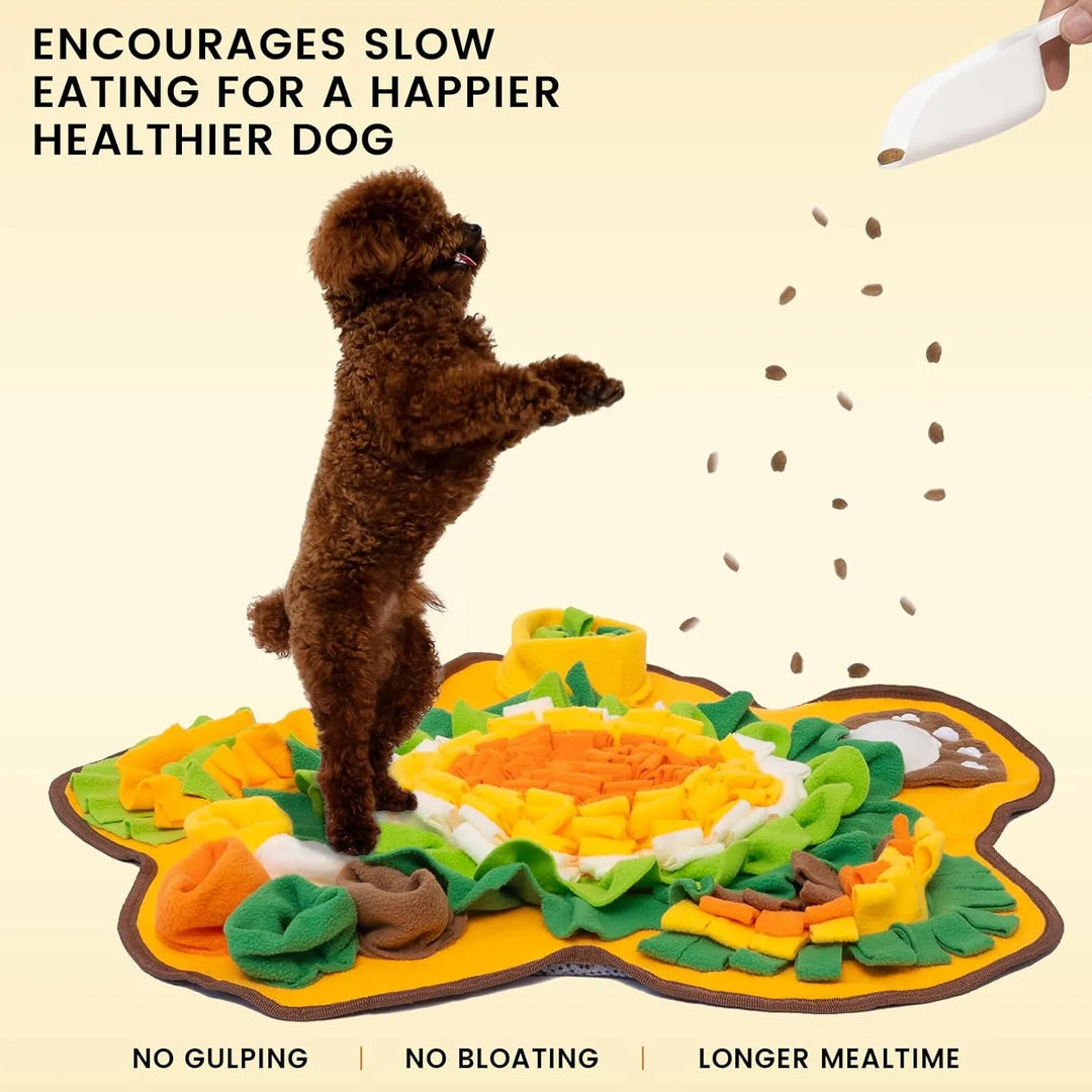 Skanto | Snuffle Mat for Hundar