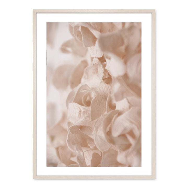 Bohemsk Stil Blush Blomsterkort - Lærred Veggkunst Trykk | Skanto