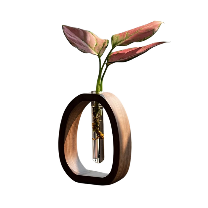 Skanto | BloomLoop