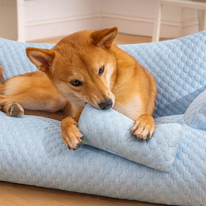 Skanto | Vaskbar Plush Katt- og Hundedyne - CozyPaws