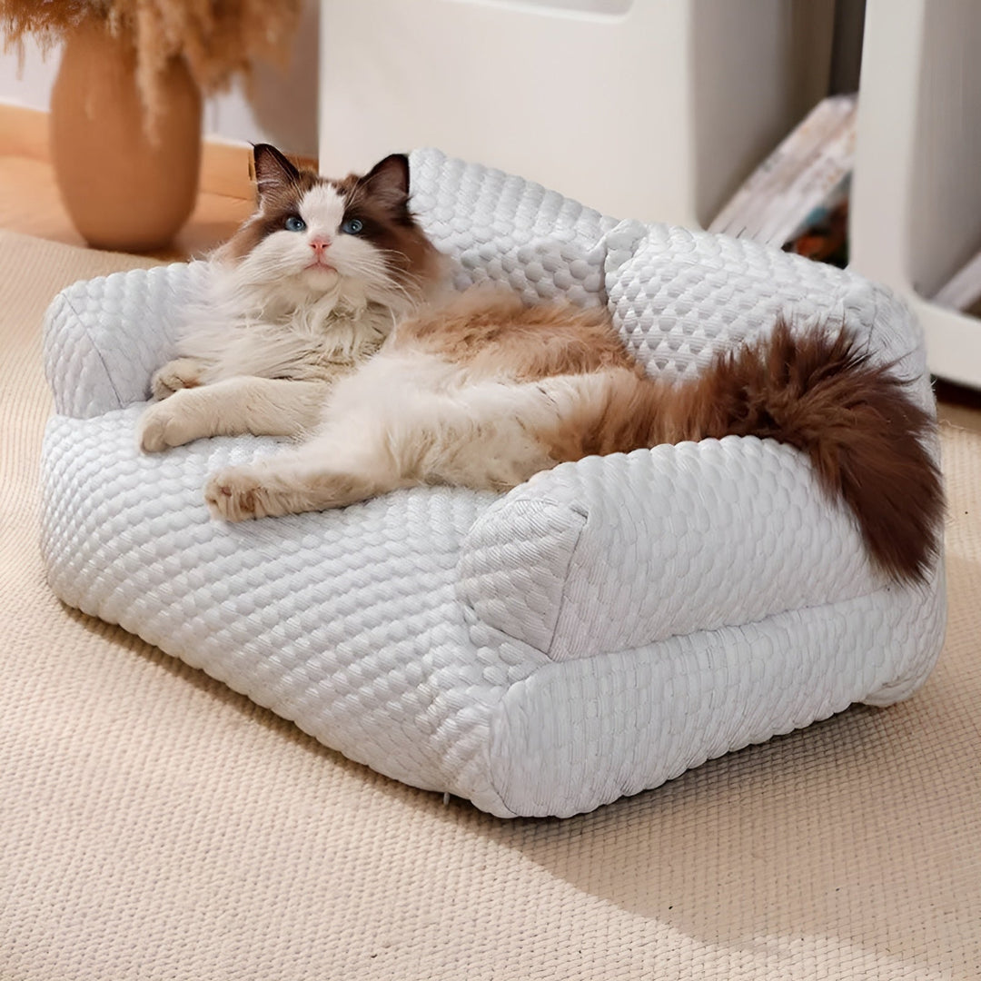 Skanto | Vaskbar Plush Katt- og Hundedyne - CozyPaws