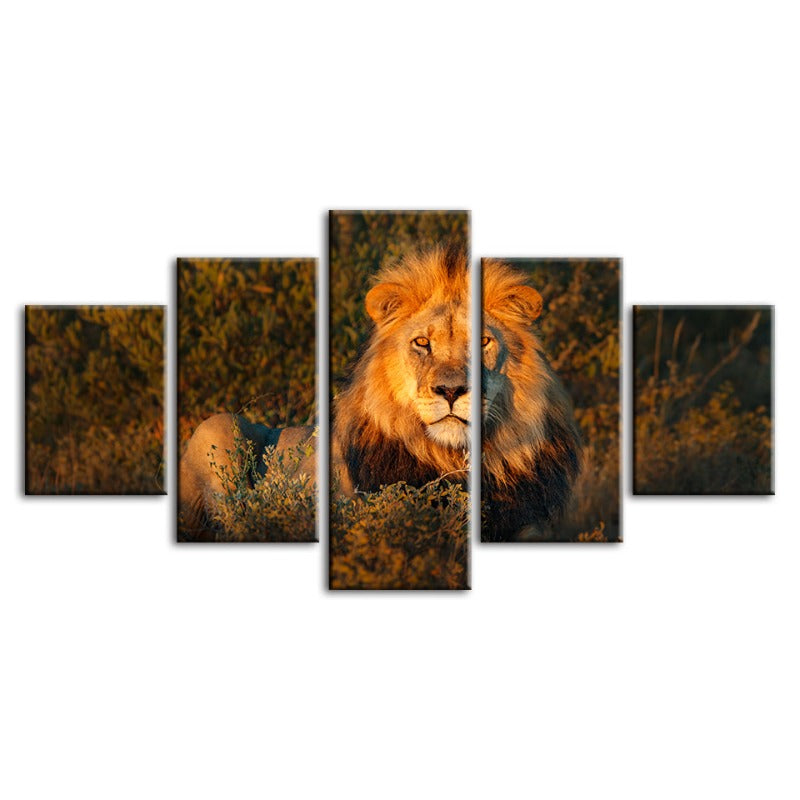 5 Pcs Divine Sunset Lion - Canvas Wall Art Painting | Skanto