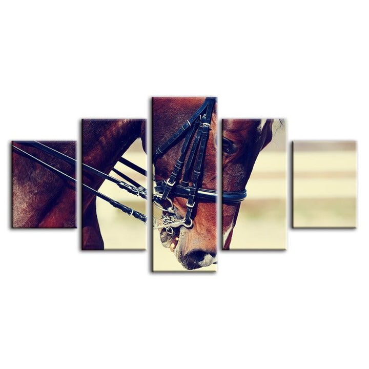 5 Piece Graceful Halter Horse - Canvas Wall Art Painting | Skanto