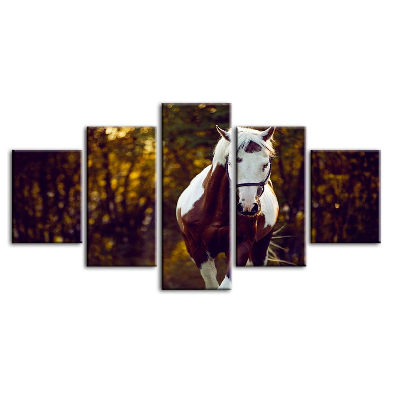 5-delt Courtly Overo hest - lerret veggkunst maleri | Skanto