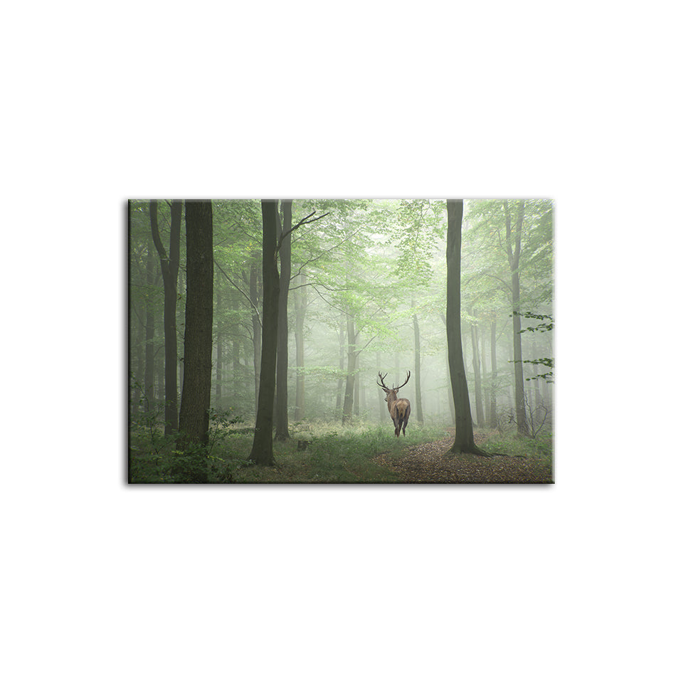 Mystisk hjort i skogen – lerretstrykk