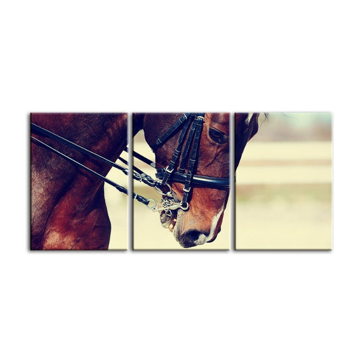 Elegant Halter Hest Canvas Veggkunst Maleri 3 Deler