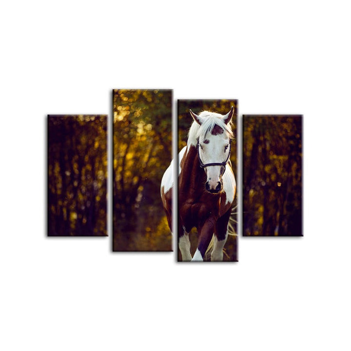4 stk Courtly Overo hest - lerret veggkunst maling | Skanto