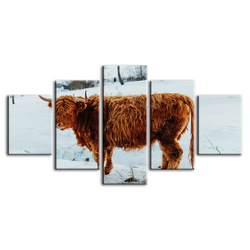 5-delt Curly Haired Cow - Lerret Veggkunst Maleri | Skanto
