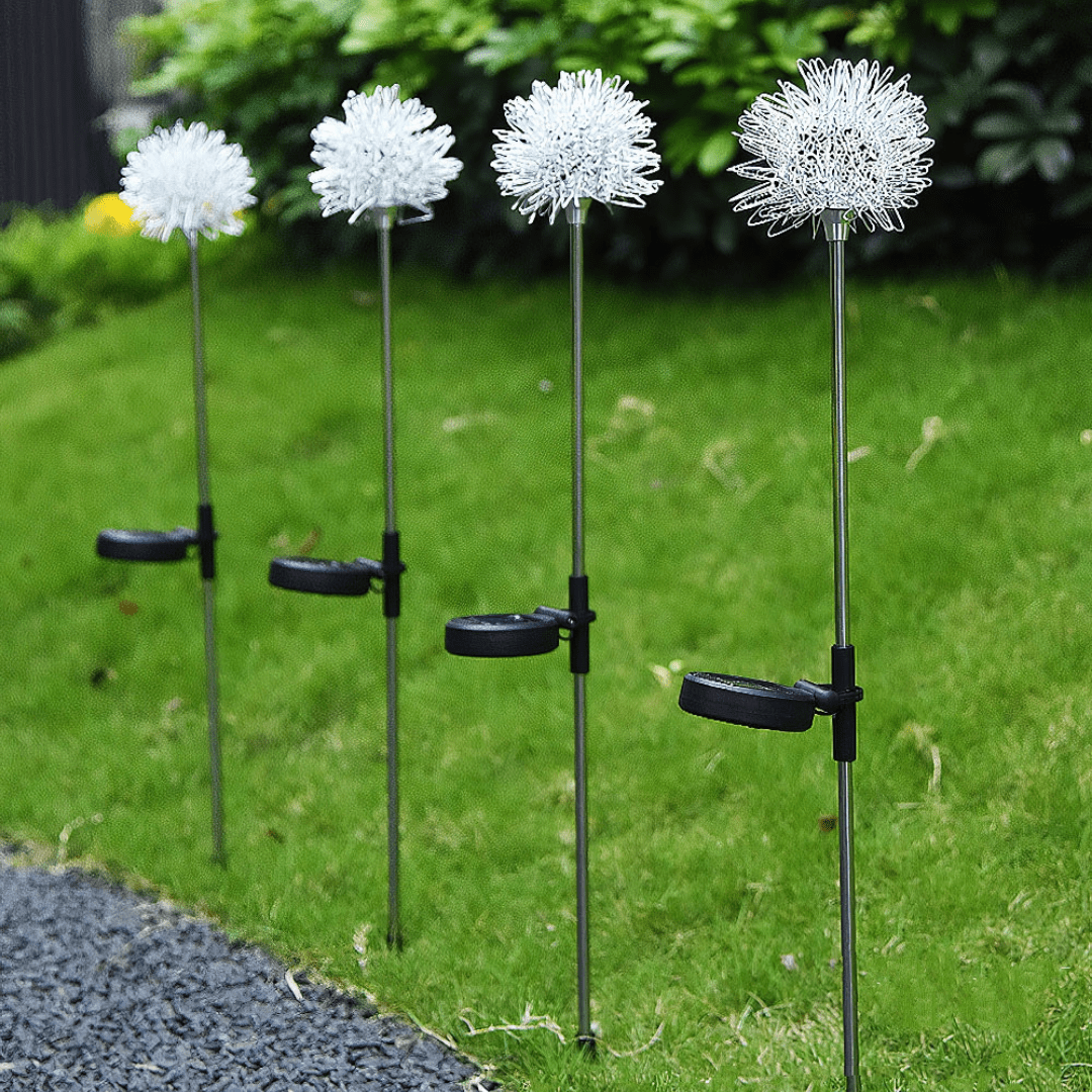 Skanto | Dandelion Garden Lights, Solar Powered