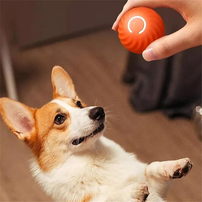 Interaktiv Hoppende Ball for Hunder Skanto